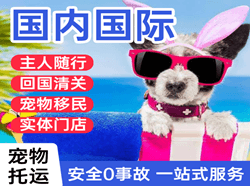 通辽空运公司国际宠物托运 【国